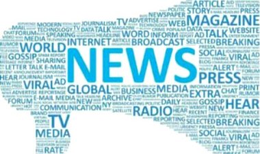 போலி பத்திரிகையாளர்கள்