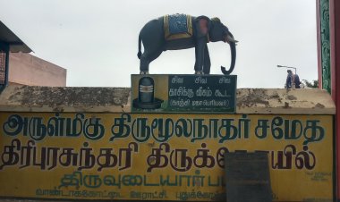 புதுக்கோட்டை மாவட்டம் திருவுடையார்பட்டி அருள்மிகு திருமூலநாதர், திரிபுரசுந்தரி திருக்கோவிலின், சிறப்பு வரலாறு