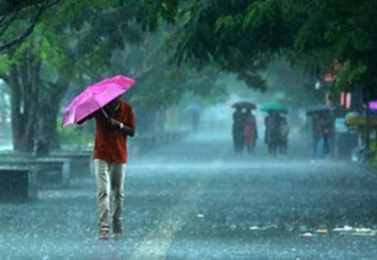 மழை எவ்வளவு பெய்தாலும் அதனை சமாளிக்கும் அளவுக்கு தமிழ்நாடு அரசு செயல்பட்டு வருகிறது: உதயநிதி ஸ்டாலின்