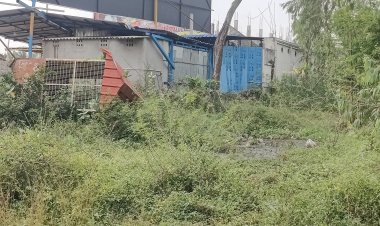 உணவு பாதுகாப்பு துறை அதிகாரிகளுக்கு மண்டையில் எதும் ஏறுமா, உங்கள் துறையால் நடவடிக்கை இல்லாமல், துர்நாற்றம் மற்றும் கிருமி தொற்று உண்டாகிறது என்று சொன்னால், ஏன் நடவடிக்கை எடுக்க ஒரு மாத காலம் தாமதம், உணவு பாதுகாப்புத்துறை அலுவலர்களுக்கு சம்பந்தப்பட்ட இடத்திலிருந்து லஞ்சமாக ரொக்கம் கட்டாக வந்துள்ளதா?