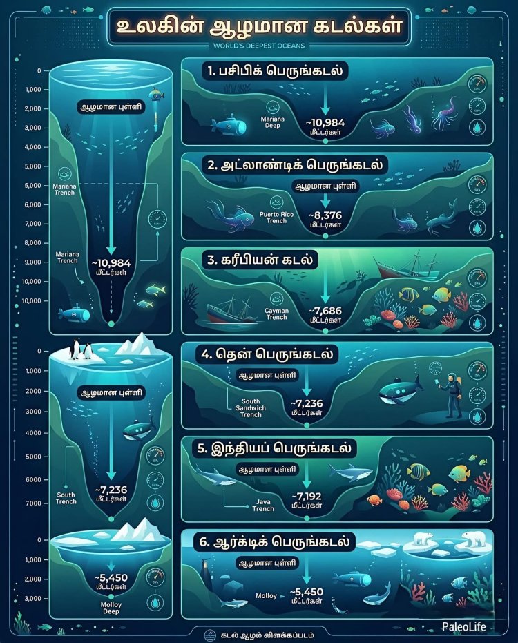 உலகின் ஆழமான கடல்கள் – உங்களை ஆச்சரியப்படுத்தும் தகவல்கள்! 