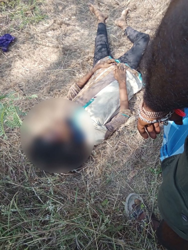 தூத்துக்குடி மாவட்டம், விளாத்திகுளம் பகுதியை சேர்ந்த, பன்னிரண்டு வயது பள்ளி சிறுமி பாலியல் வன்கொடுமை செய்யப்பட்டு கொலை செய்யப்பட்டுள்ள செய்தியும், இந்த விடியா திமுக ஆட்சியில் செய்தியாகவே செல்கிறது என்பது தான் அதீத மன வேதனையை அளிக்கிறது. 