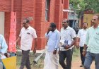 புதுக்கோட்டையில் நில அளவை செய்து கொடுக்க ரூ.14,000 லஞ்சம் வாங்கிய சர்வேயர் கைது!