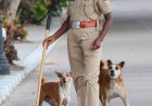 புதுவை கடற்கரை பாதுகாப்பு பெண் ஆய்வாளர் திருமதி.பூரணி!  கலியுக நாரதர் மாத இதழ் வெளியிட்டார் மற்றும் ஆசிரியர் வீ.வீரராகவன், தமிழகம் மற்றும் பாண்டிச்சேரி மாநிலங்களுக்கு செய்தியாளர்கள் மற்றும் புகைப்பட கலைஞர்கள் தேவை விண்ணப்பங்கள் வரவேற்கப்படுகின்றன, தொடர்புக்கு:9443401036